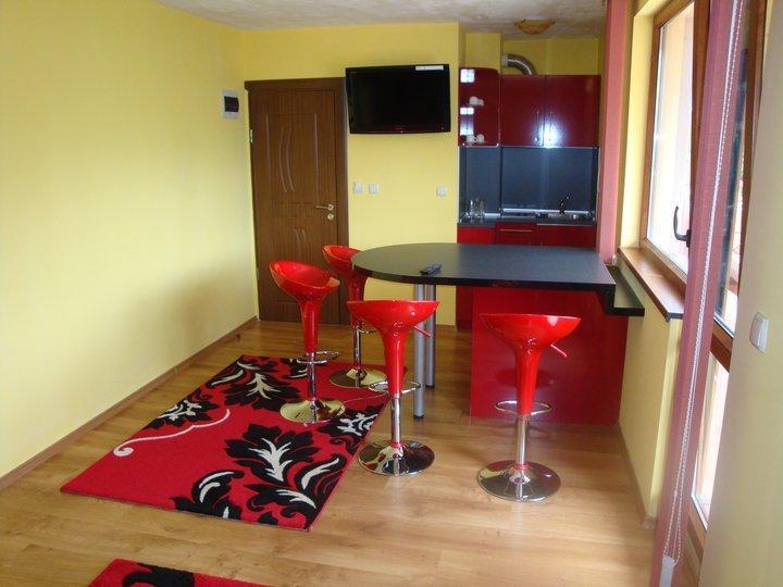 Tzvetelina Palace Hotel Dolna Banya Quarto foto
