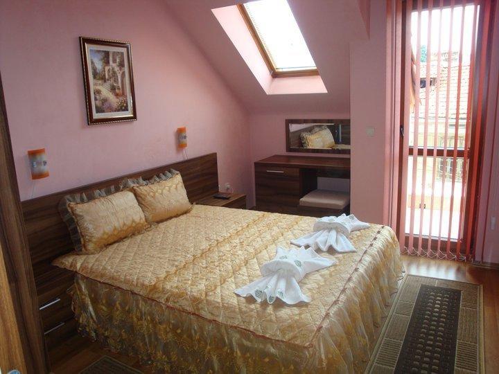 Tzvetelina Palace Hotel Dolna Banya Quarto foto