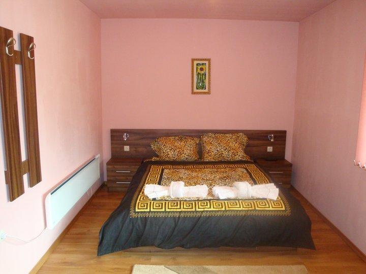 Tzvetelina Palace Hotel Dolna Banya Quarto foto