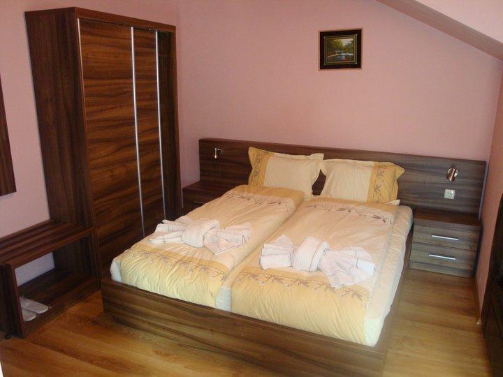 Tzvetelina Palace Hotel Dolna Banya Quarto foto