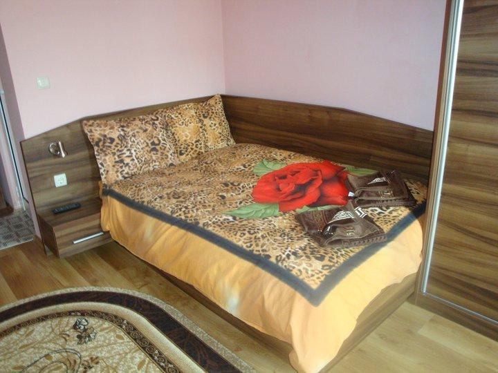 Tzvetelina Palace Hotel Dolna Banya Quarto foto