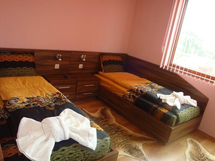 Tzvetelina Palace Hotel Dolna Banya Quarto foto