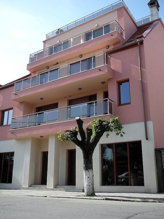 Tzvetelina Palace Hotel Dolna Banya Exterior foto