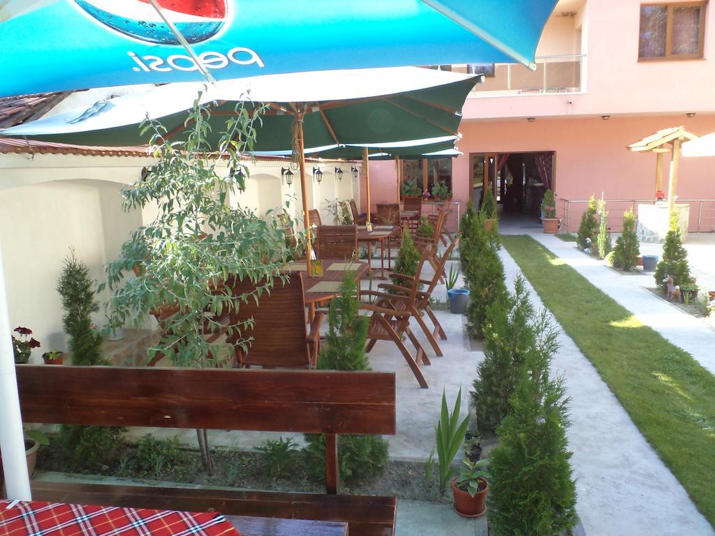 Tzvetelina Palace Hotel Dolna Banya Exterior foto